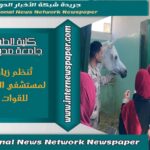 وزير التعليم العالي يبحث تطورات التعاون المشترك مع الوكالة الجامعية للفرانكفونية