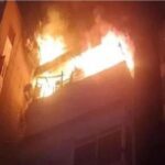 كلب ضال يعقر خمسة أطفال في أشمون الرمان بدكرنس