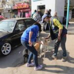 مصري الأصل يقود ملف أموال نيويورك شريف سليمان مديرا لميزانية المدينة