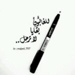 المجلس العالمي للتسامح والسلام يهنئ البابا تواضروس الثاني وأقباط مصر بعيد الميلاد المجيد