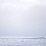 فريق كلية الحقوق بجامعة قنا يتأهل للتصفيات النهائية الحضورية في مسابقة التحكيم التجاري الدولية بالسعودية