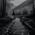 الصين ترد على تهديدات ترامب لإيران: نرفض التدخل في الشؤون الداخلية ونحذّر من التصعيد