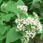 أمسية “نفحات الإسراء والمعراج”.. تمازج الفكر والفن والروحانية بمثلث الإبداع الثقافي بالسويس