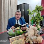 الكم والكيف صراع الأرقام والقيمة