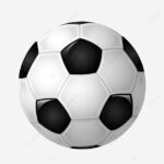 تباطؤ إقرار المجالس المحلية…وأين الأحزاب السياسية من الشارع المصري؟