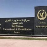 جمعية الصداقة الإيطالية العربية:31 عامًا من الدبلوماسية الشعبية.. وفلسطين في قلب الرسالة