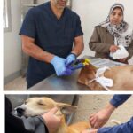 محافظ سوهاج يضع إكليلا من الزهور على النصب التذكاري لشهداء الشرطة الذكري ال٧٤.