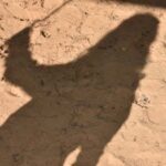 بين حُسن الضيافة وسيادة القانون: الحقيقة الغائبة في ملف الوجود السوداني بمصر