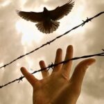 مأساة بلا أسماء.. 7 جثامين مجهولي الهوية تُشيَّع في مطروح