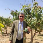 مجلس الشباب المصري يقيم ندوة توعوية لمناقشة كتاب: «قبل المأذون» للكاتبة أمال إبراهيم