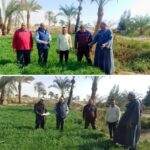 تعيين الدكتور مصطفى ثابت عميدًا لكلية الحاسبات والمعلومات بجامعة النهضة