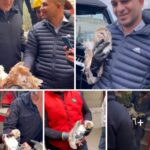 انتهاء فترة الإعفاء الاستثنائى لأجهزة المحمول&nbsp; اعتبارًا من الغد