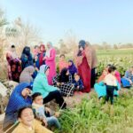 انطلاق الأوكازيون الشتوي 2026 اليوم الاثنين بقرار رسمي من وزير التموين