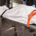 الهبد والهري بالاتحادية الوهمية مرورا بالجمهورية الجديدة