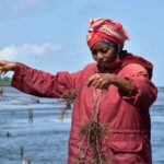 أهالي الضمان كو ممبو اسوان يبحثون عن الأمان المفقود