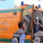 دعم الأبطال أولوية وطنية.. تحركات جديدة لتعزيز جاهزية الرياضة المصرية للمنافسات الدولية