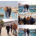 وما من دآبة في الأرض إلا على الله رزقها