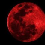 التفضل علي الناس والقيام بخدمتهم