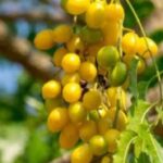 قصيدة ( صرخة تئن ) لخالد الجمال