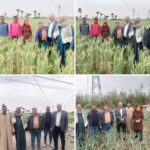 العيد… مش بس لبس جديد ولا خروجة