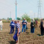 قرار الهيئة الليبيةللتراث والحياة البريةبشأن حظر صيد الطيور المهاجرة