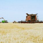 حين تتكلم الإنجازات… دشطوط تُسطّر اسمها بين قرى الجمهورية