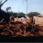 جمعية بلدنا للإبداع والتنمية و”عدسة بلدنا”.. عقدٌ من تكريم الأمهات وصناعة الوفاء