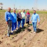 وزيرة الثقافة تبحث مع محافظ البحر الأحمر نقل المكتبات المتنقلة وعربات المسرح المتنقل وأتوبيس الفن الجميل