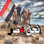 حين تصبح الشوارع مأوى من المسؤول عن الكلاب الضالة