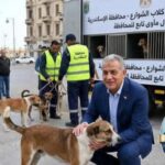 حنينُ الغياب