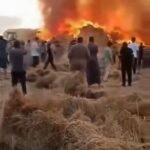 بيراميدز يُتوج بلقب كأس مصر للمرة الثانية في تاريخه