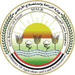 المعاصي تطمس الفطرة