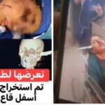 محافظ السويس يتابع تجهيز مركز إيواء متكامل للكلاب الضالة ويؤكد تطبيق حلول حضارية