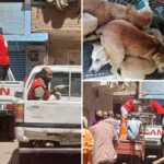 جهود أمنية للقبض على المتهمين بسرقة محطة كهرباء في قنا.