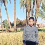استمرار حملات تقنين أوضاع المحال والمنشآت بنجع حمادي