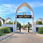 محافظ المنيا يهنئ مدير مكتبة مصر العامة لفوزه بالمركز الأول في البحث العلمي بمؤتمر مكتبات مصر العامة السنوي