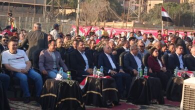 محافظ القاهرة